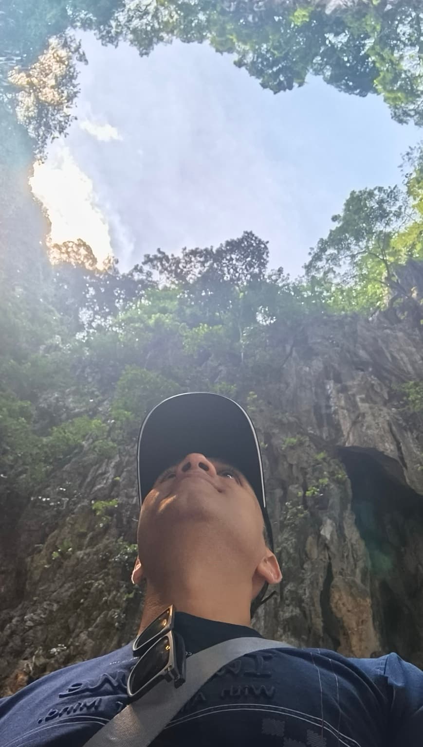 Looking up at nature